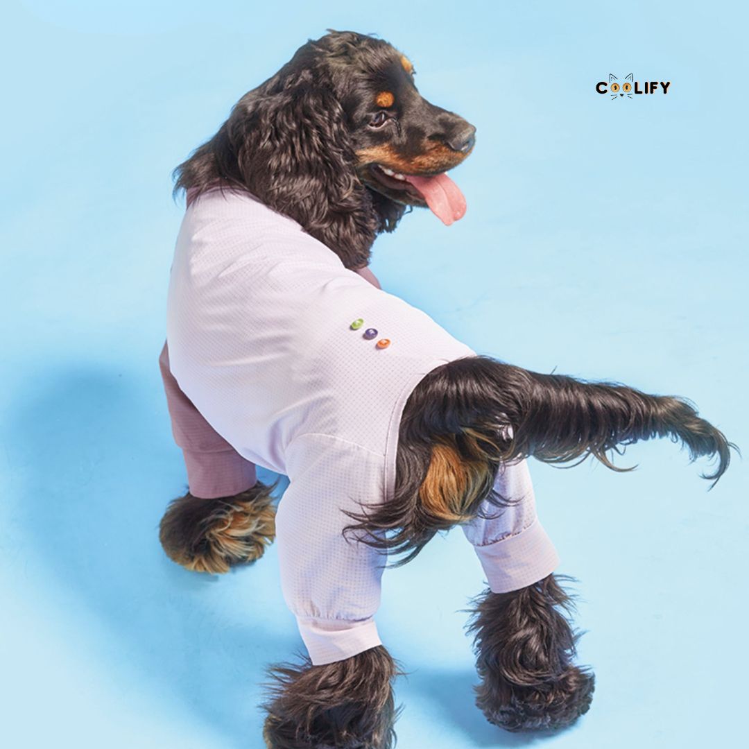 Coolify Breeze Touch Top
