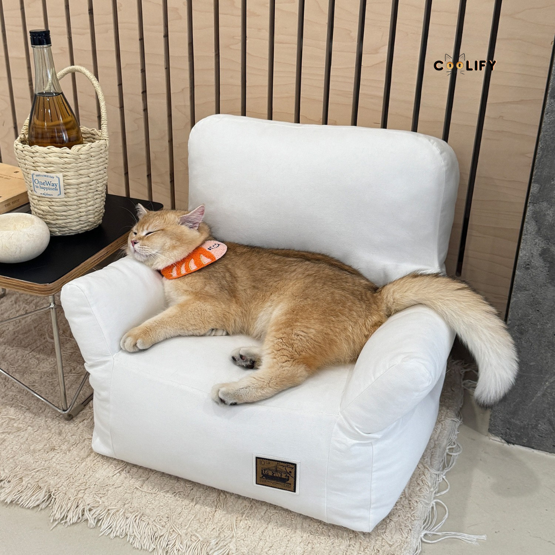 Coolify Minimalist Sofa
