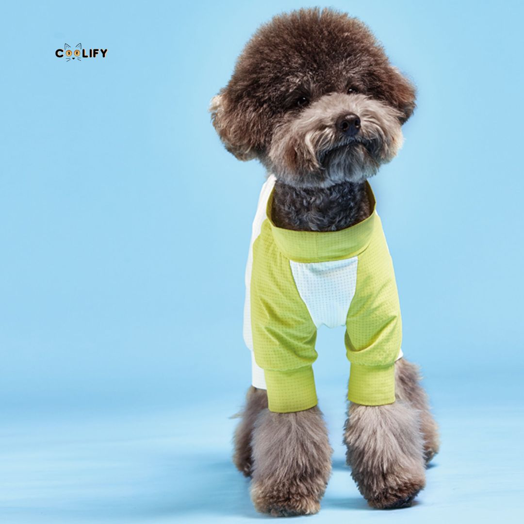 Coolify Breeze Touch Top