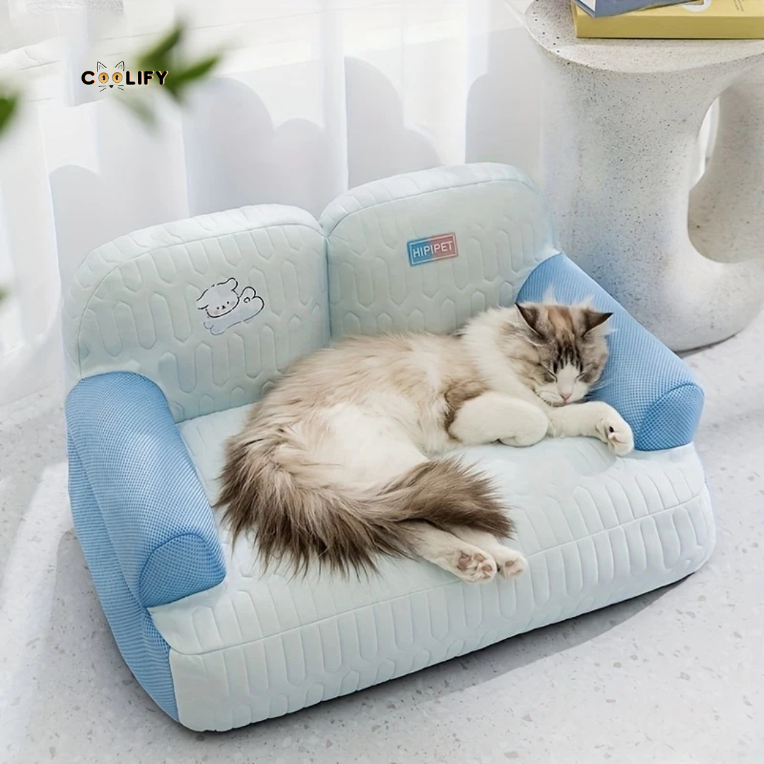 Coolify Ice Sofa