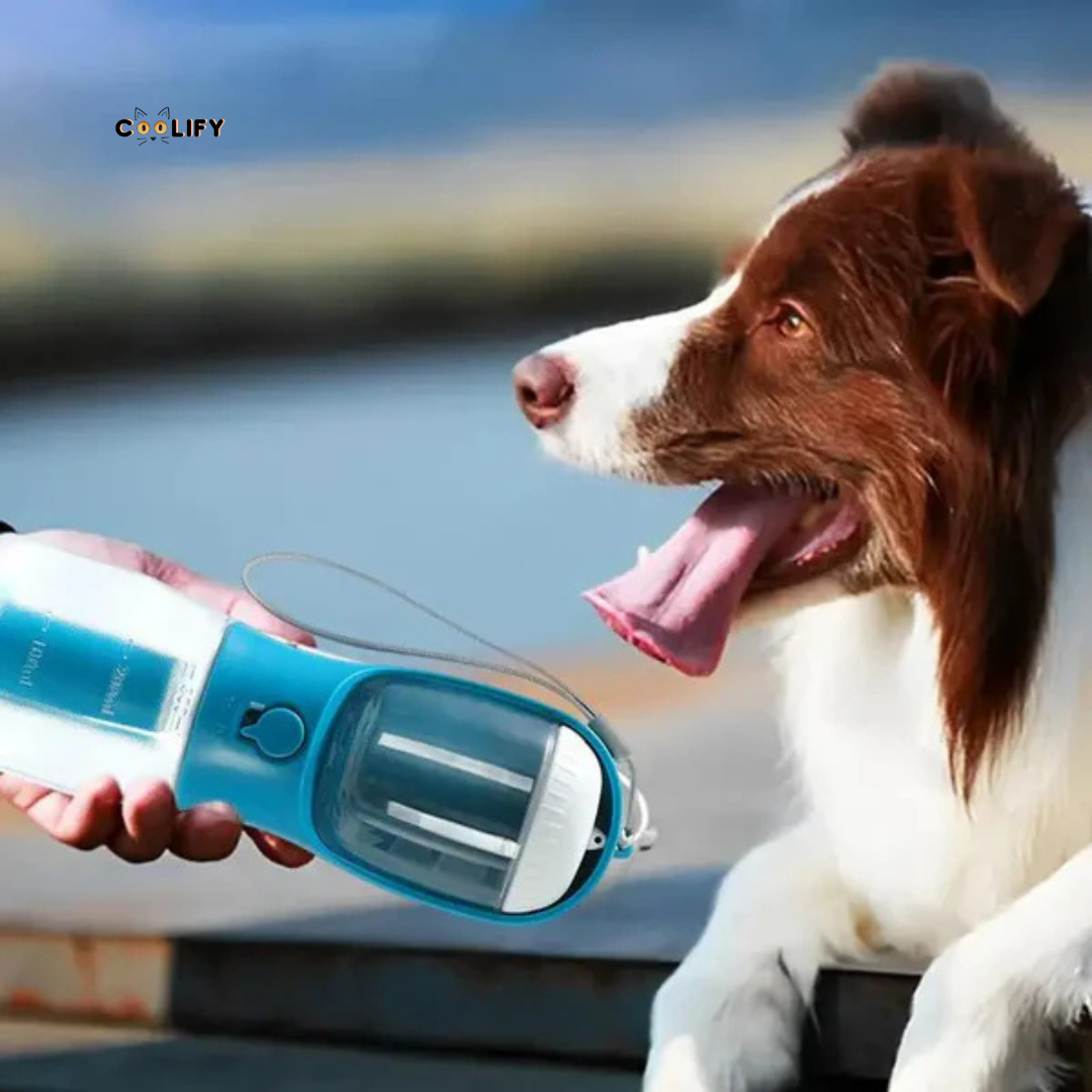 Coolify 3 in 1 Bottle
