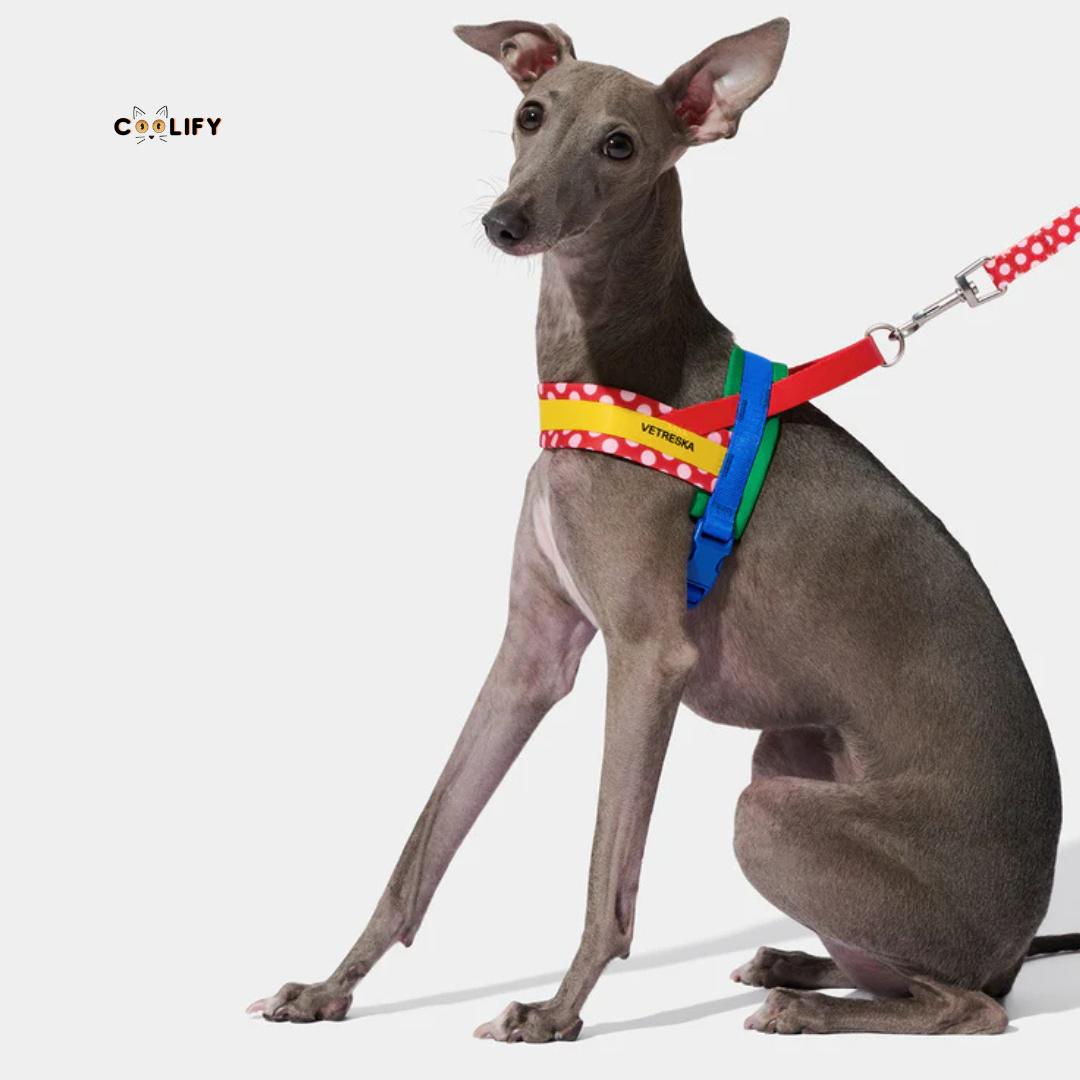 Chroma Pet Walk Kit