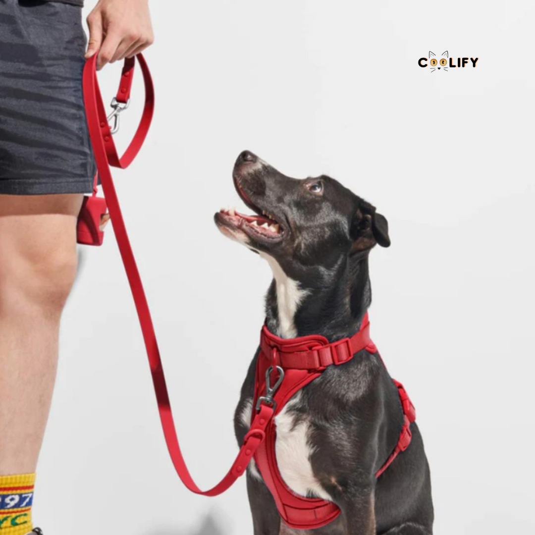 Happy Walks Premium Tasma Seti