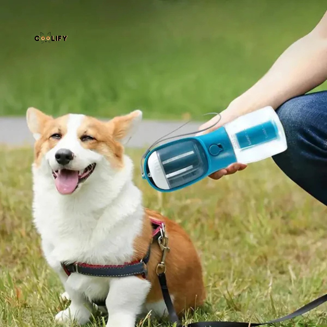 Coolify 3 in 1 Bottle