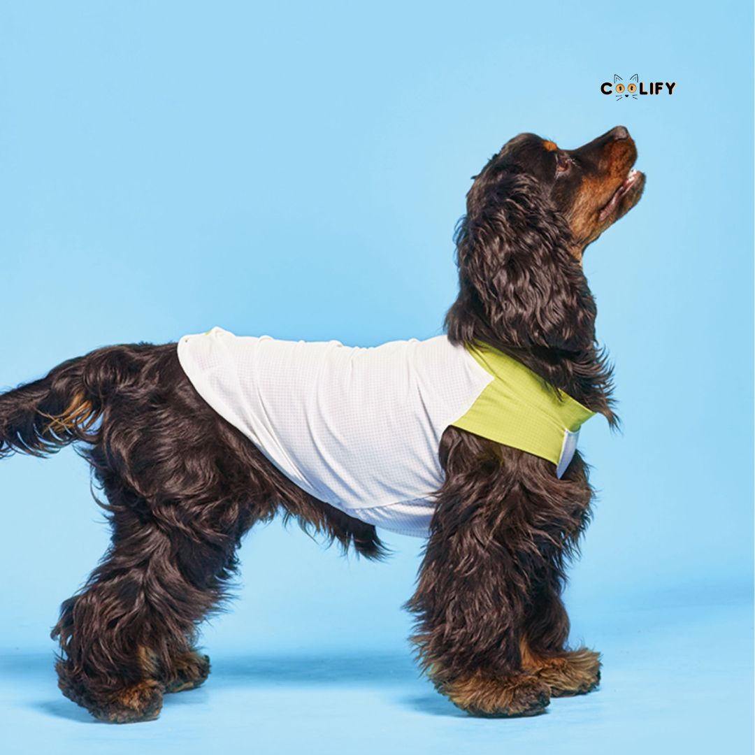 Coolify Breeze Touch Tişört