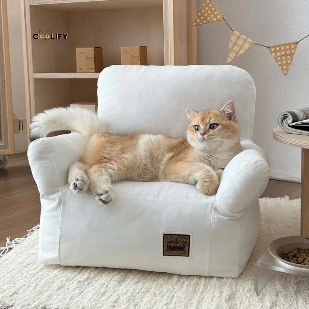 Coolify Minimalist Sofa