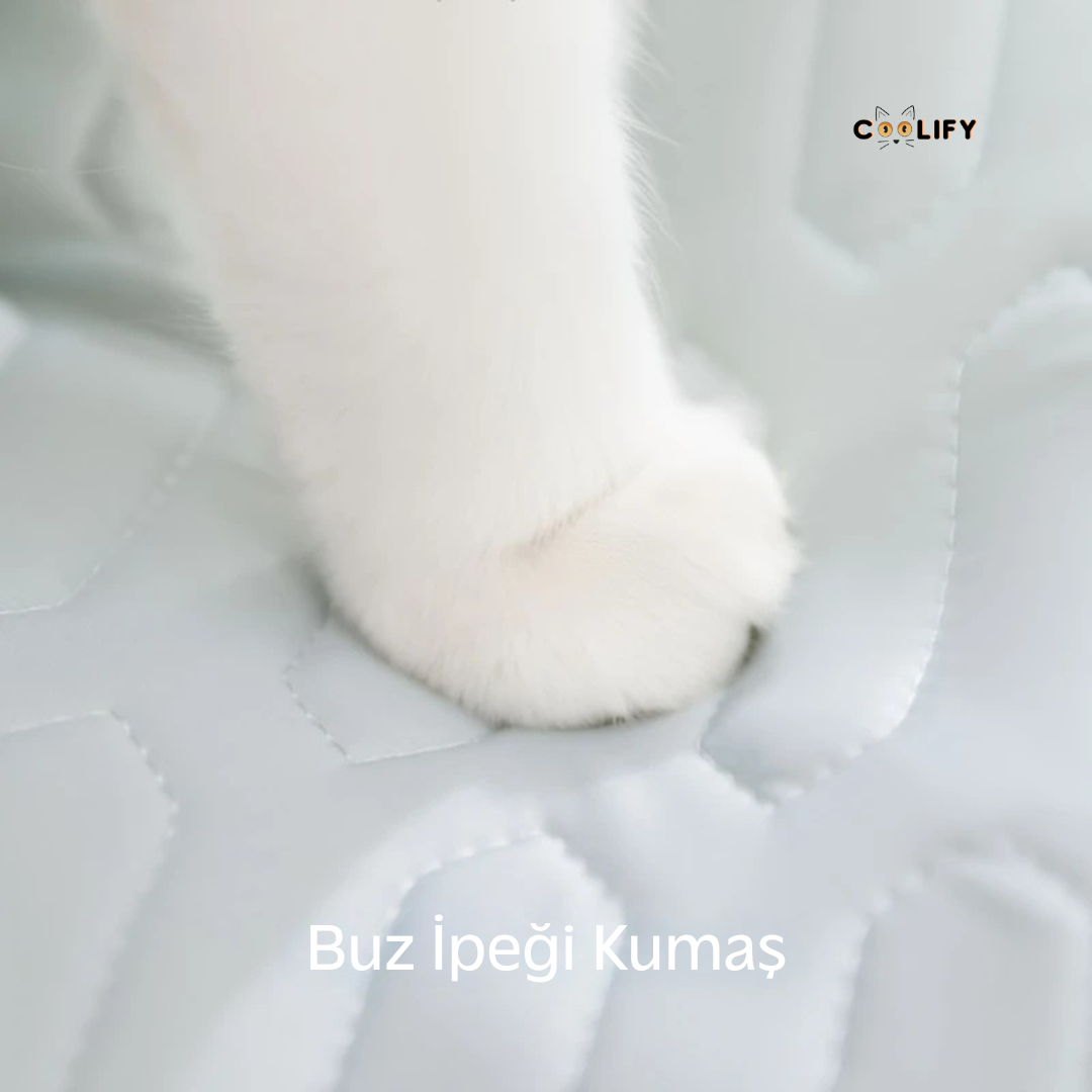 Coolify Ice Sofa