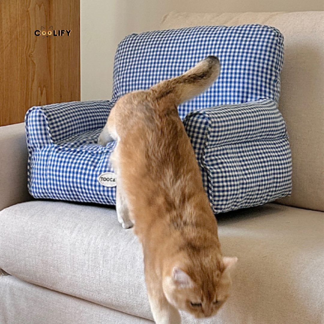 Coolify Summer Sofa