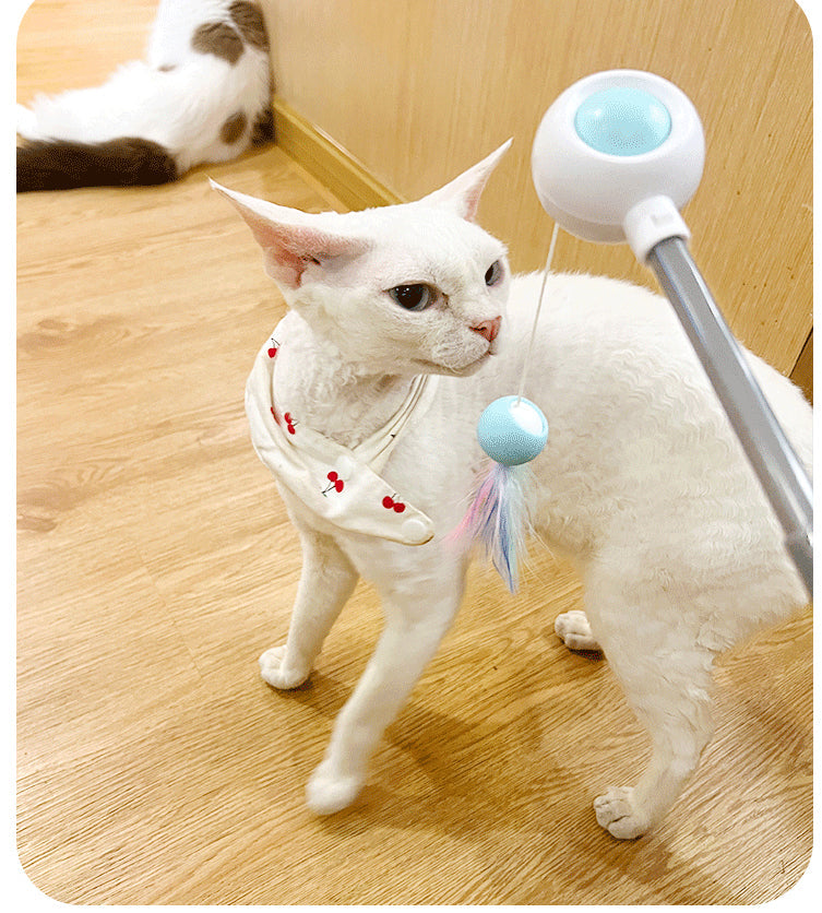 Geri Çekilebilir Esnek Kedi Değnek Oyuncağı