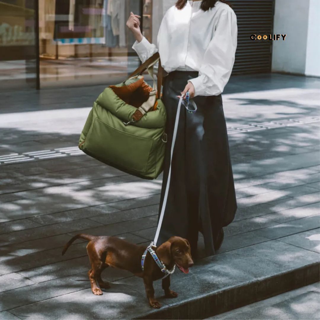 Urban Nomad Araç Çantası