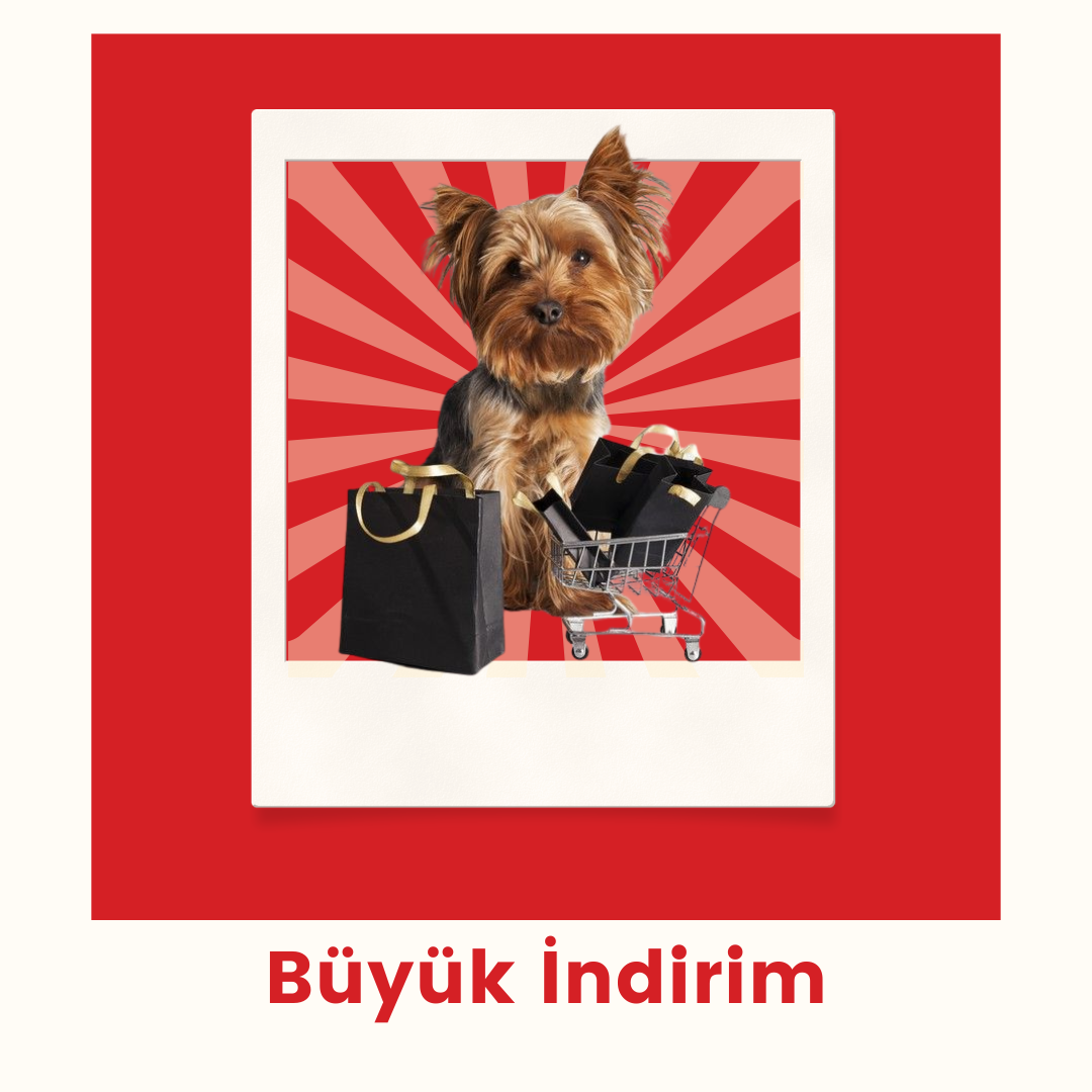 Büyük İndirim