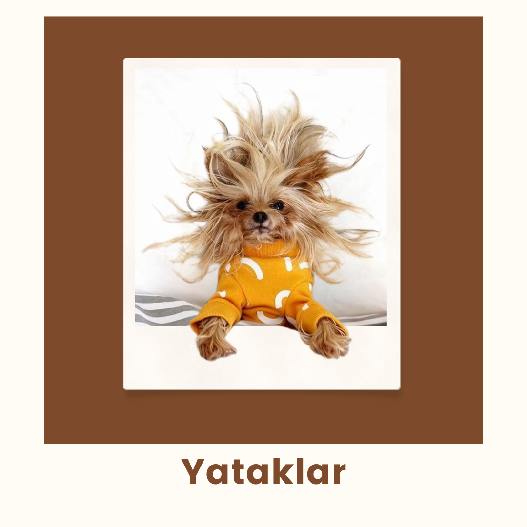 Yataklar