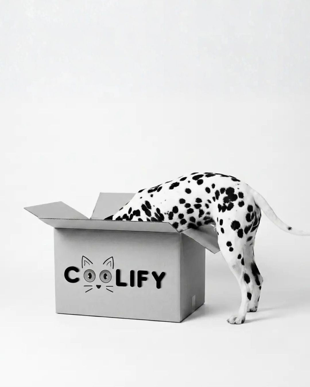 Coolify Limited Stock