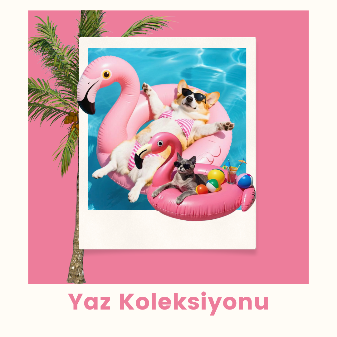 Yaz Koleksiyonu