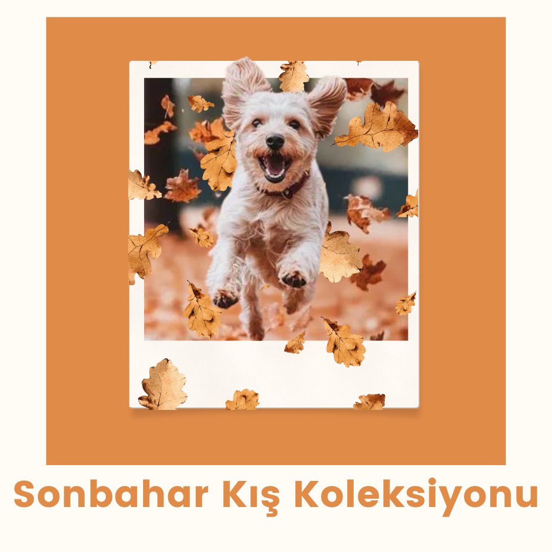 Sonbahar Kış Koleksiyonu