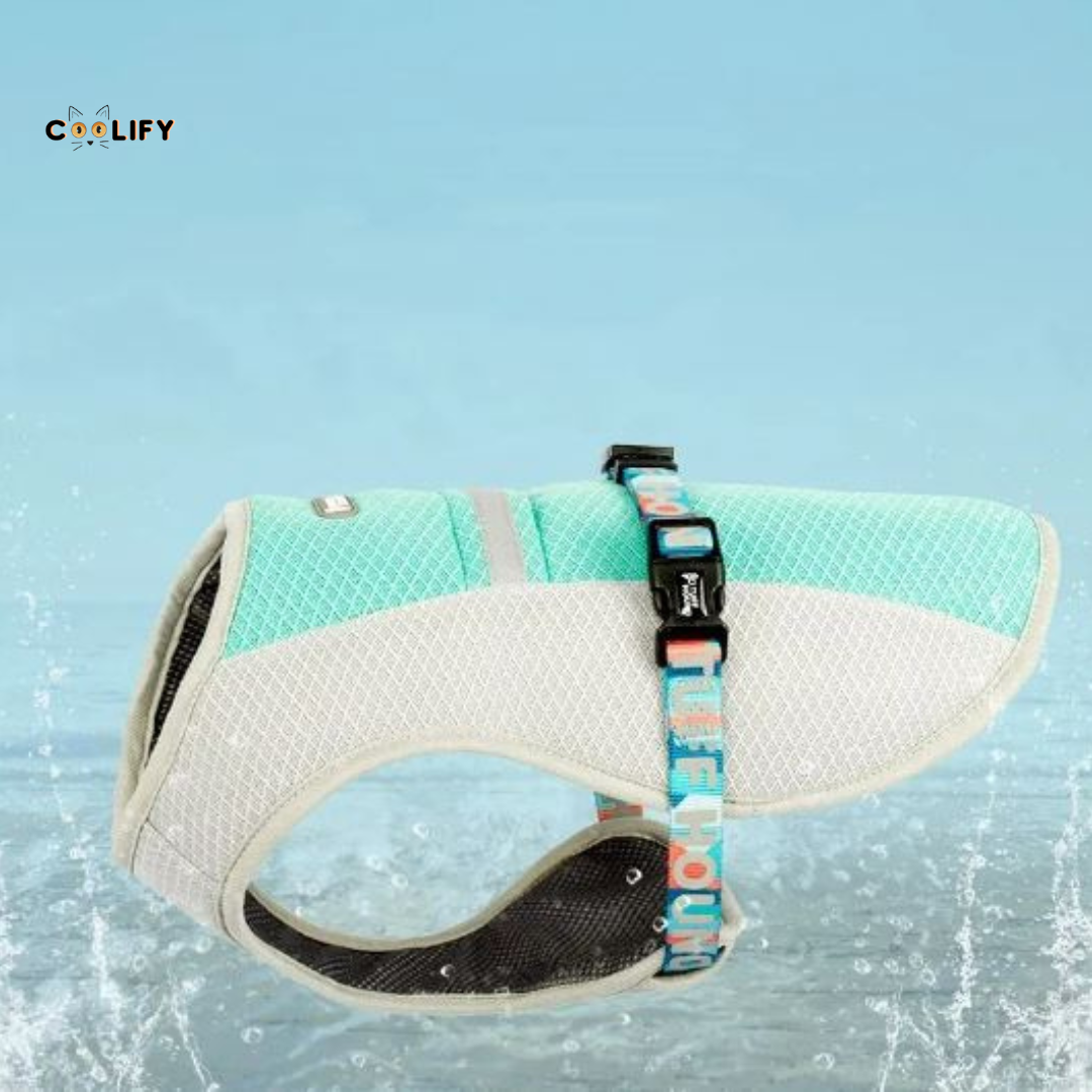 Oasis Pet Soğutucu Yelek