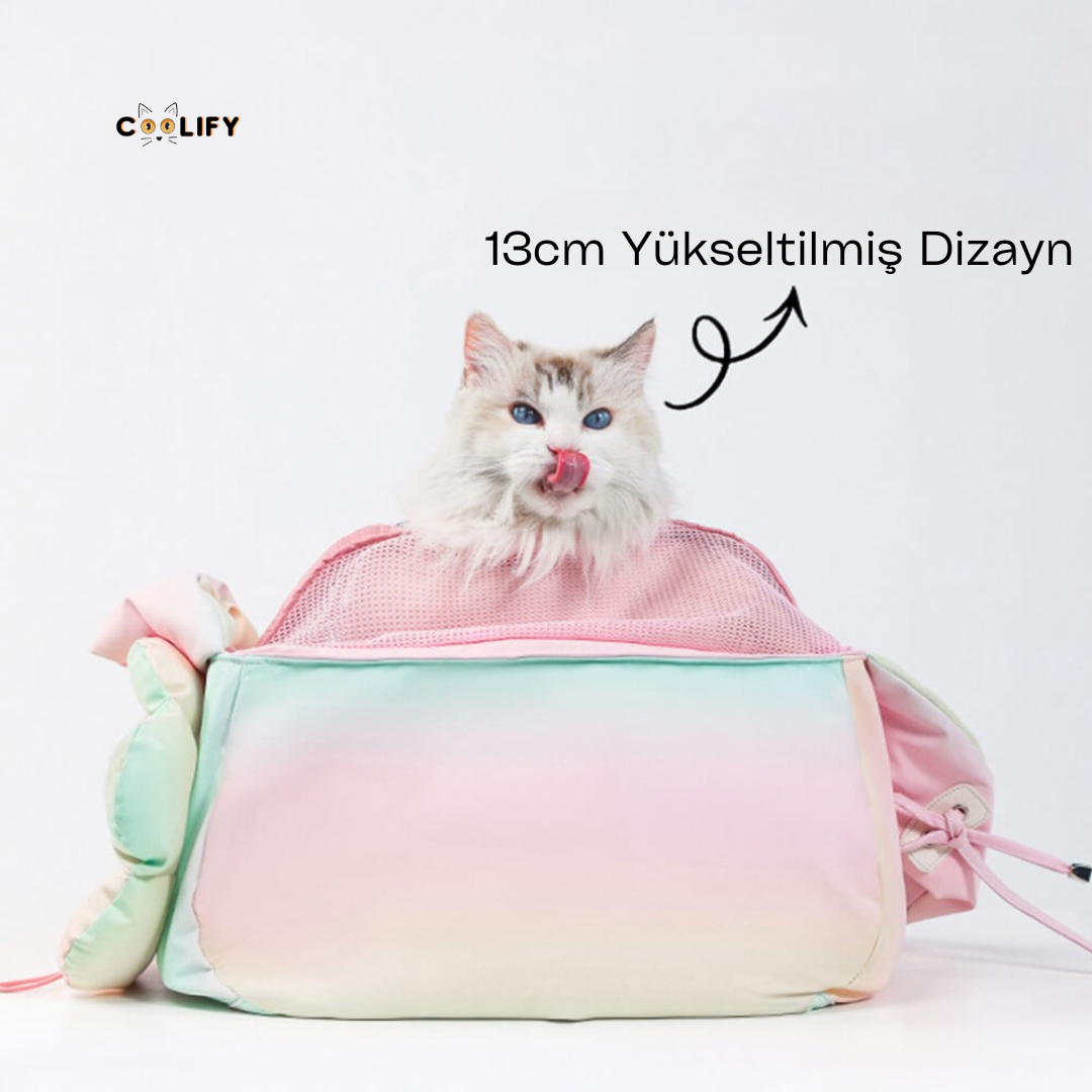 Paris Taşıma Çantası