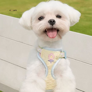 Stockholm Göğüs Tasması