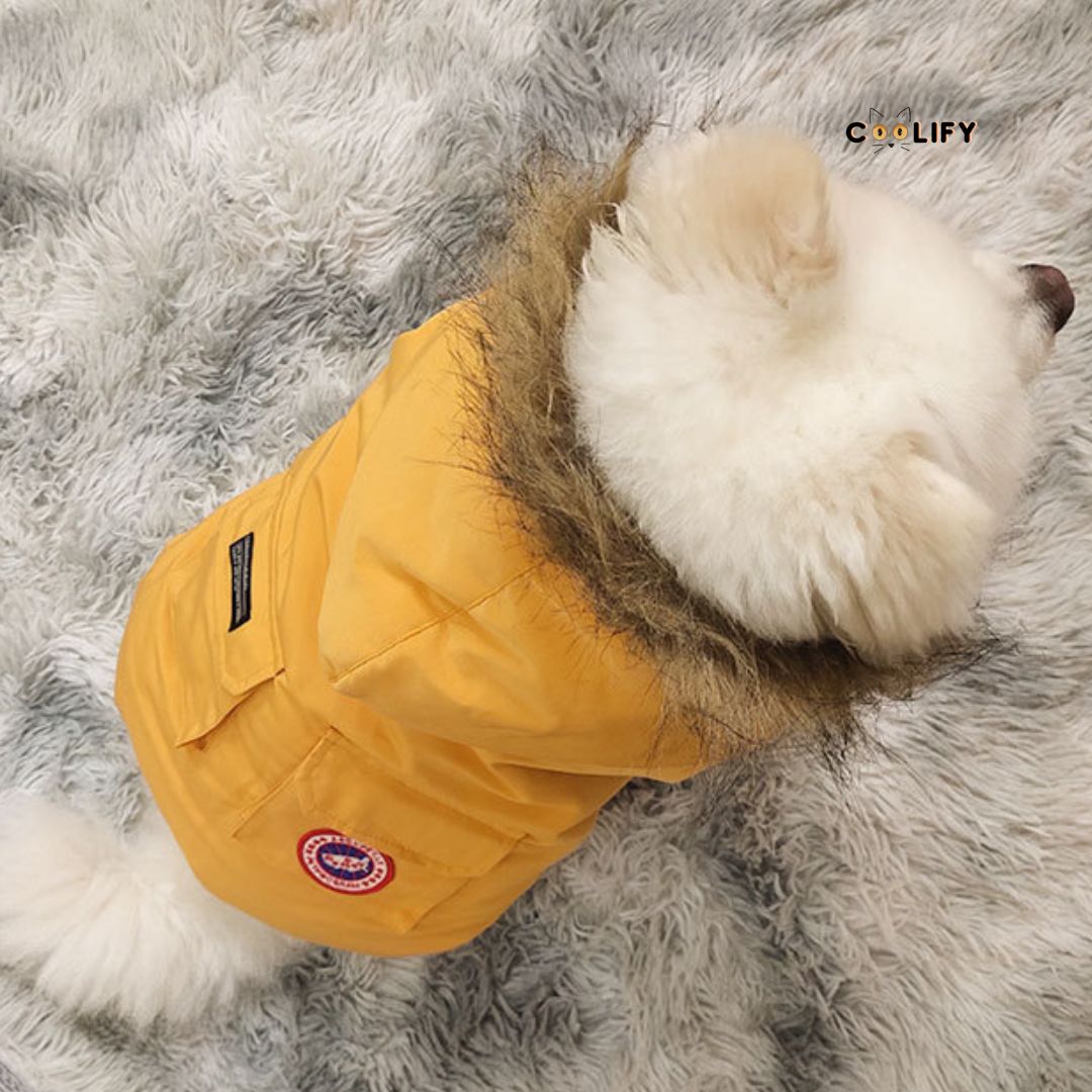 Arctic Paws Kürklü Köpek Montu