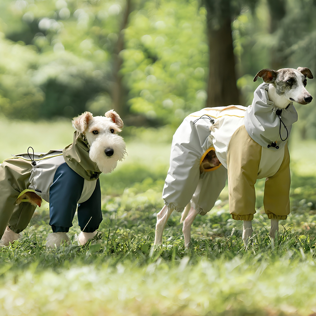 Lakeland Raincoat