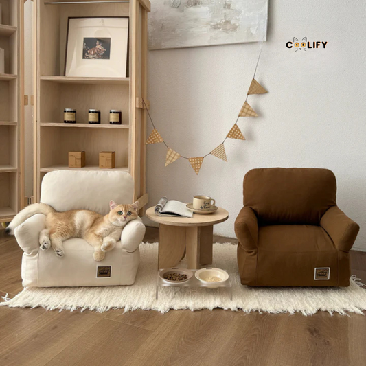 Coolify Minimalist Sofa