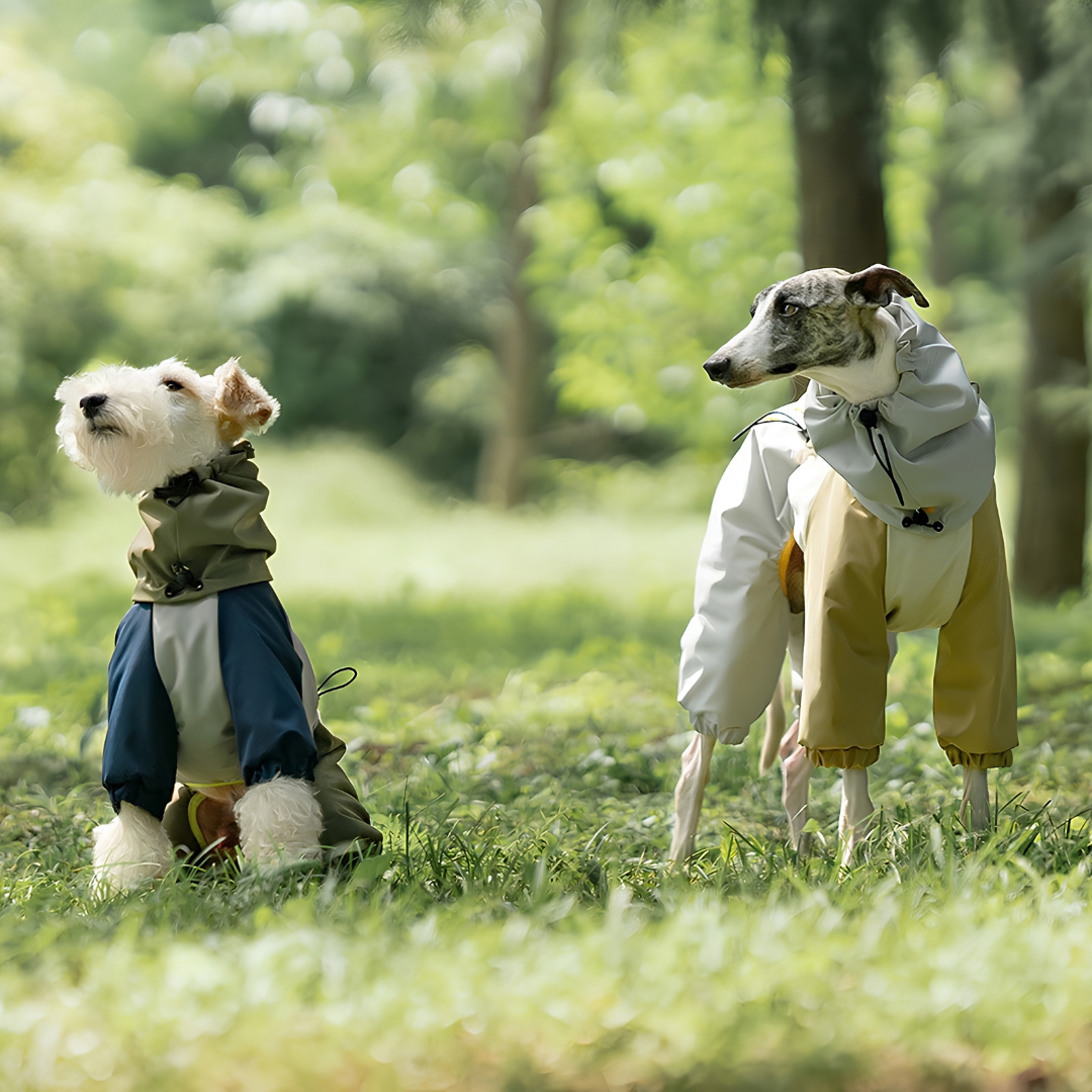 Lakeland Raincoat