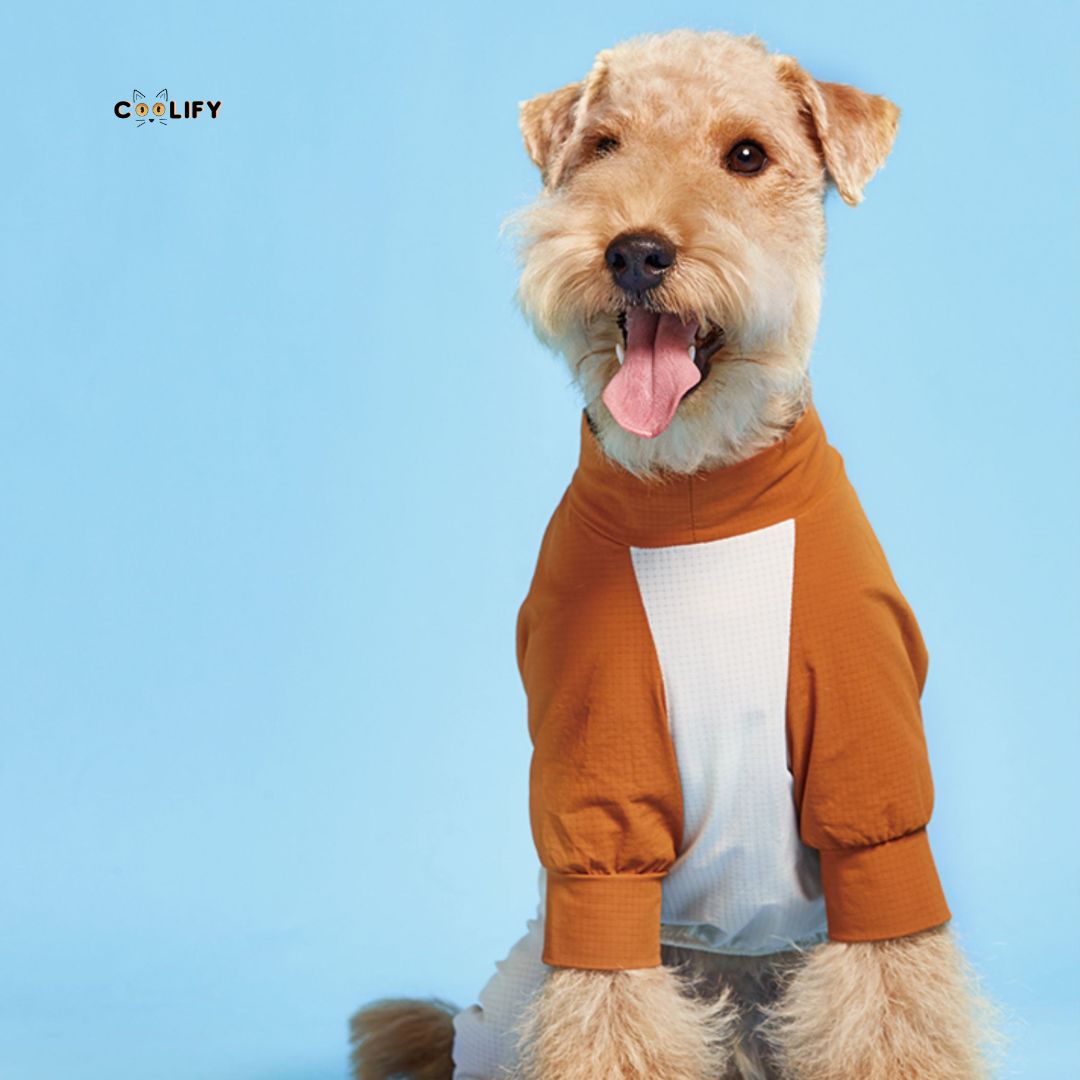 Coolify Breeze Touch Top