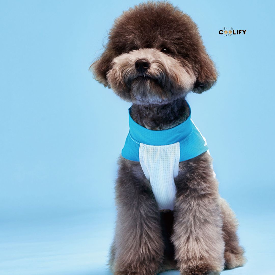 Coolify Breeze Touch Tişört