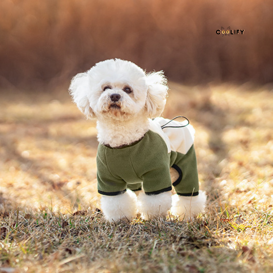 Evergreen Outdoor Polar Ceket