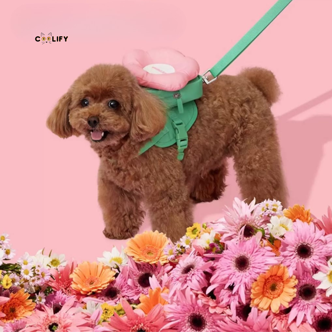 Flora Pet Walk Kit
