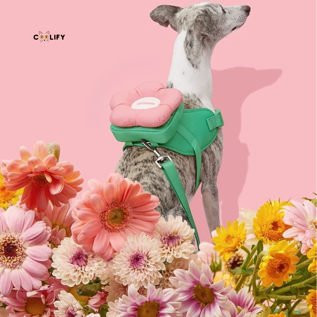 Flora Pet Walk Kit