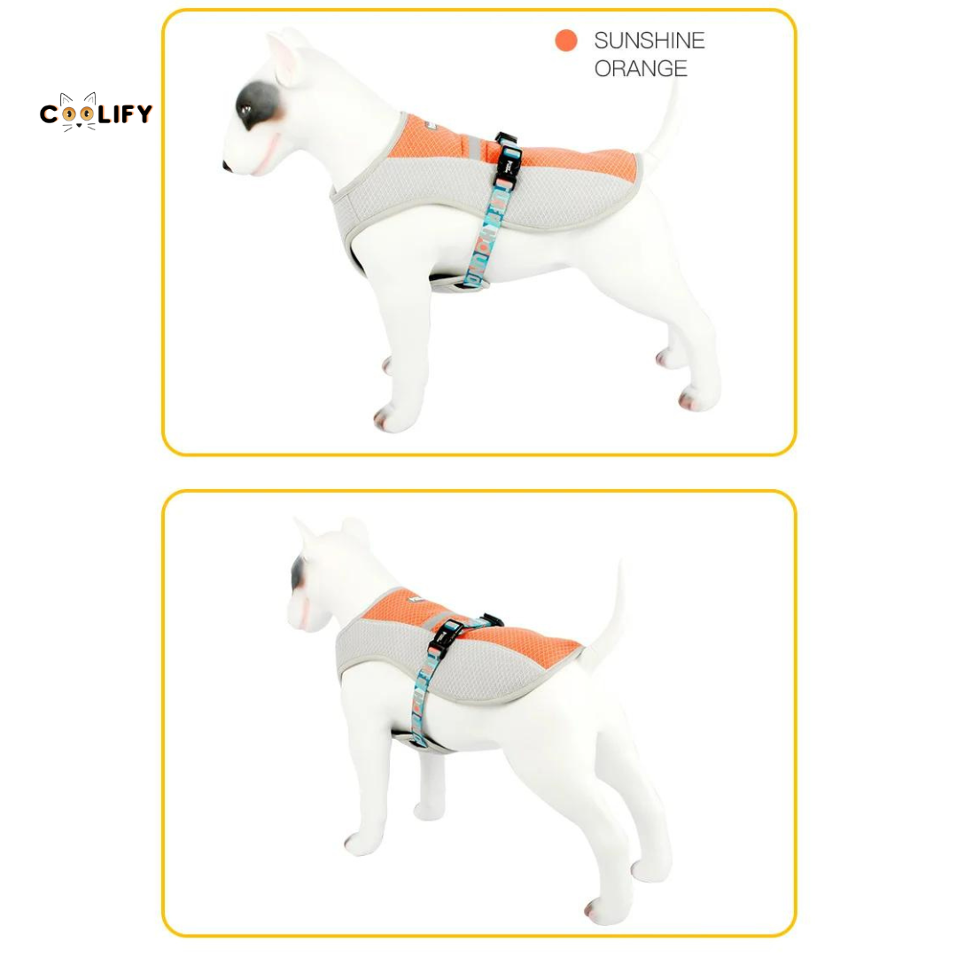 Oasis Pet Soğutucu Yelek
