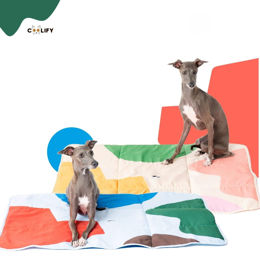 Coolify Outdoor Mat