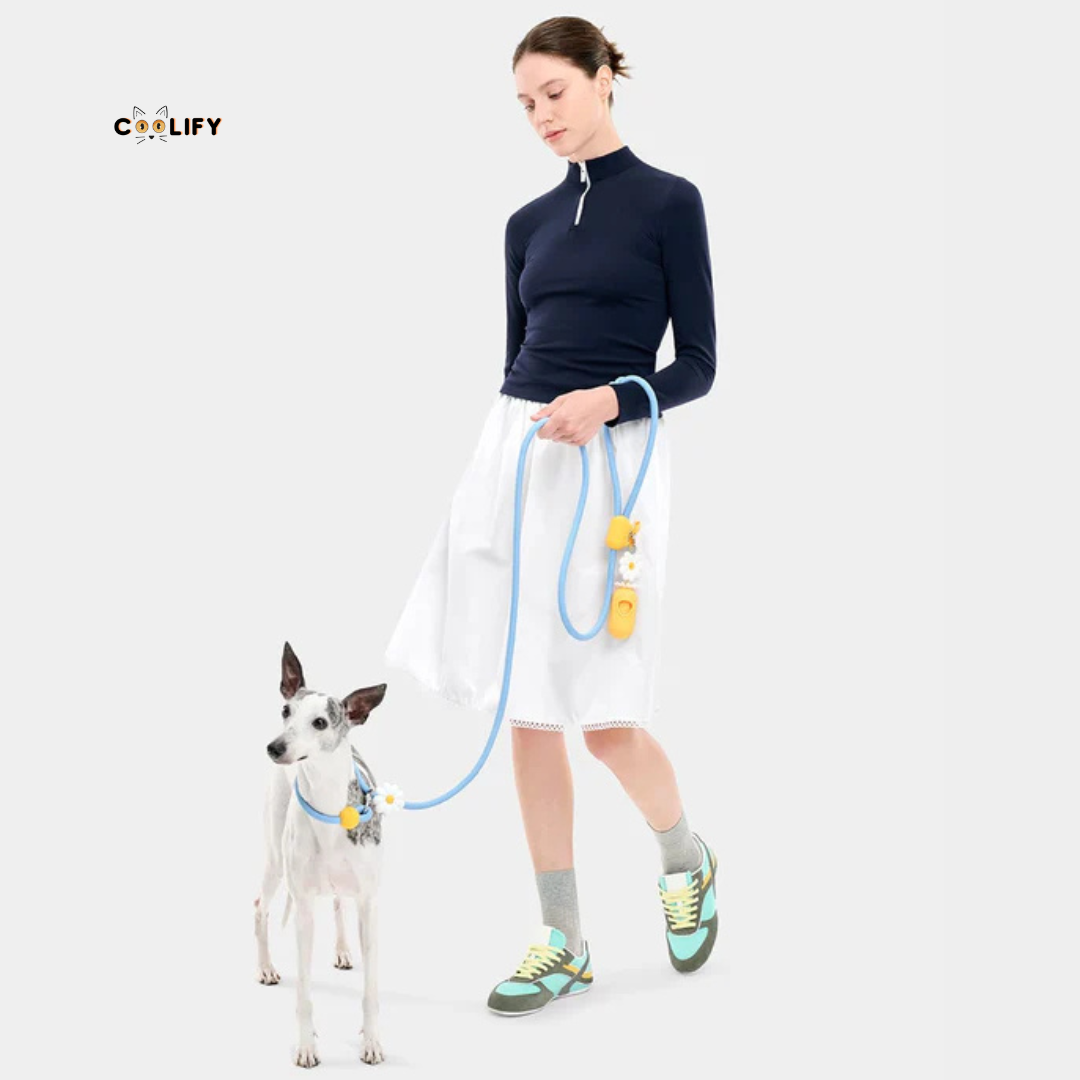 Daisy Pet Walk Kit