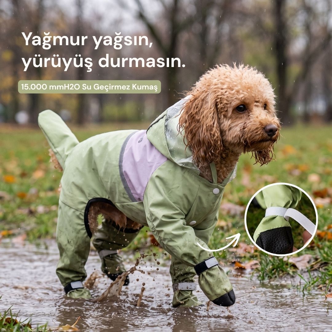 Sage Mist Yağmurluk
