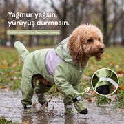 Sage Mist Yağmurluk