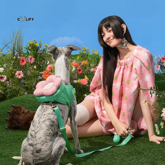 Flora Pet Walk Kit