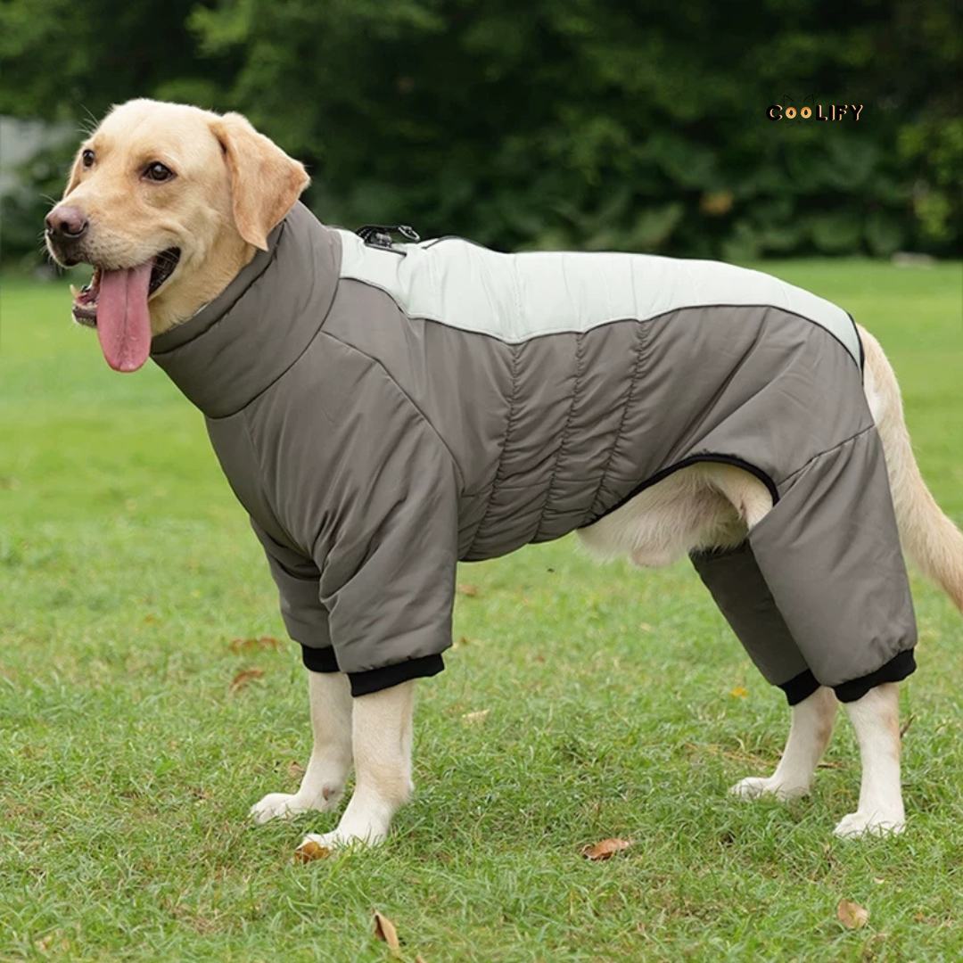 Greenwich Su Geçirmez Köpek Montu