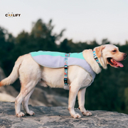 Oasis Pet Soğutucu Yelek