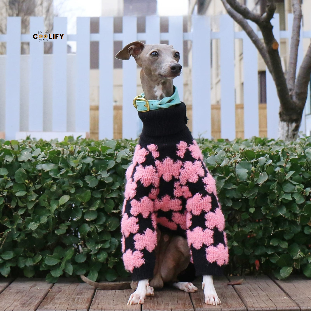 Retro Bloom Köpek Kazağı