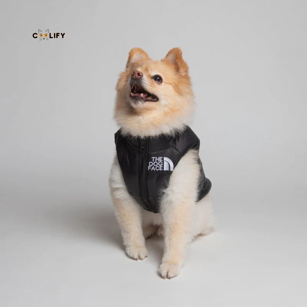 The Dog Face Yelek