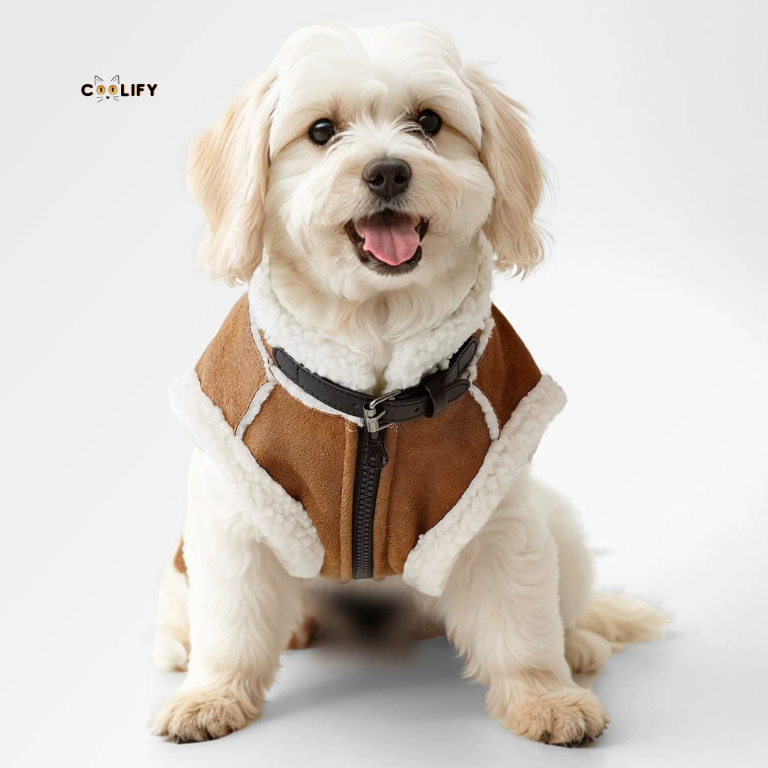 Barkley Köpek Yeleği