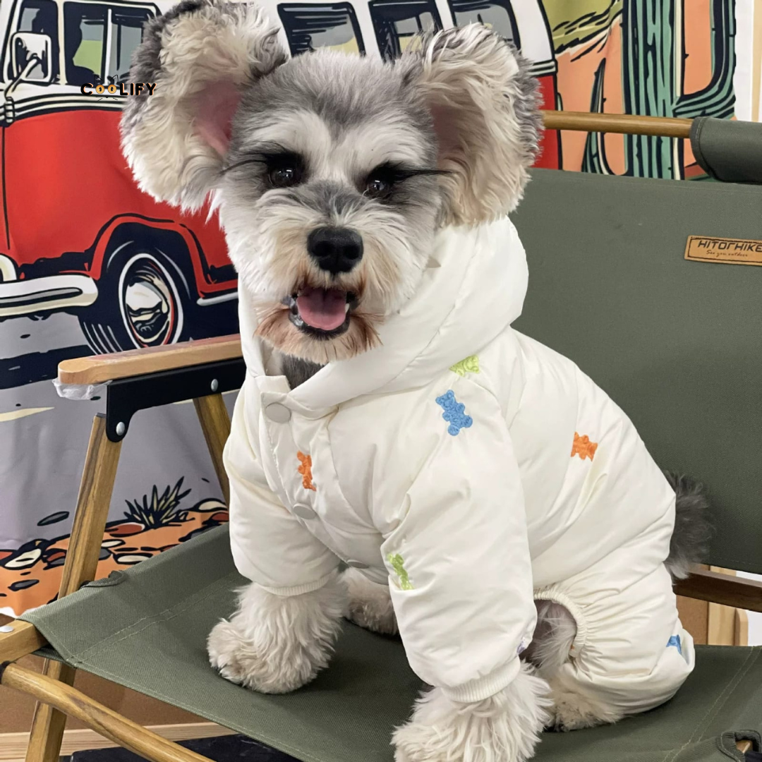 Snowflake Köpek Montu