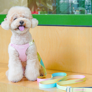 Rainbow Göğüs Tasması Seti