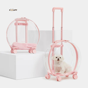 Coolify X Vetreska Taşıma Çantası