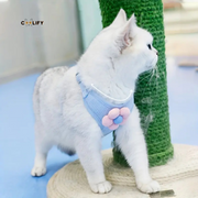 Melbourne Göğüs Tasması