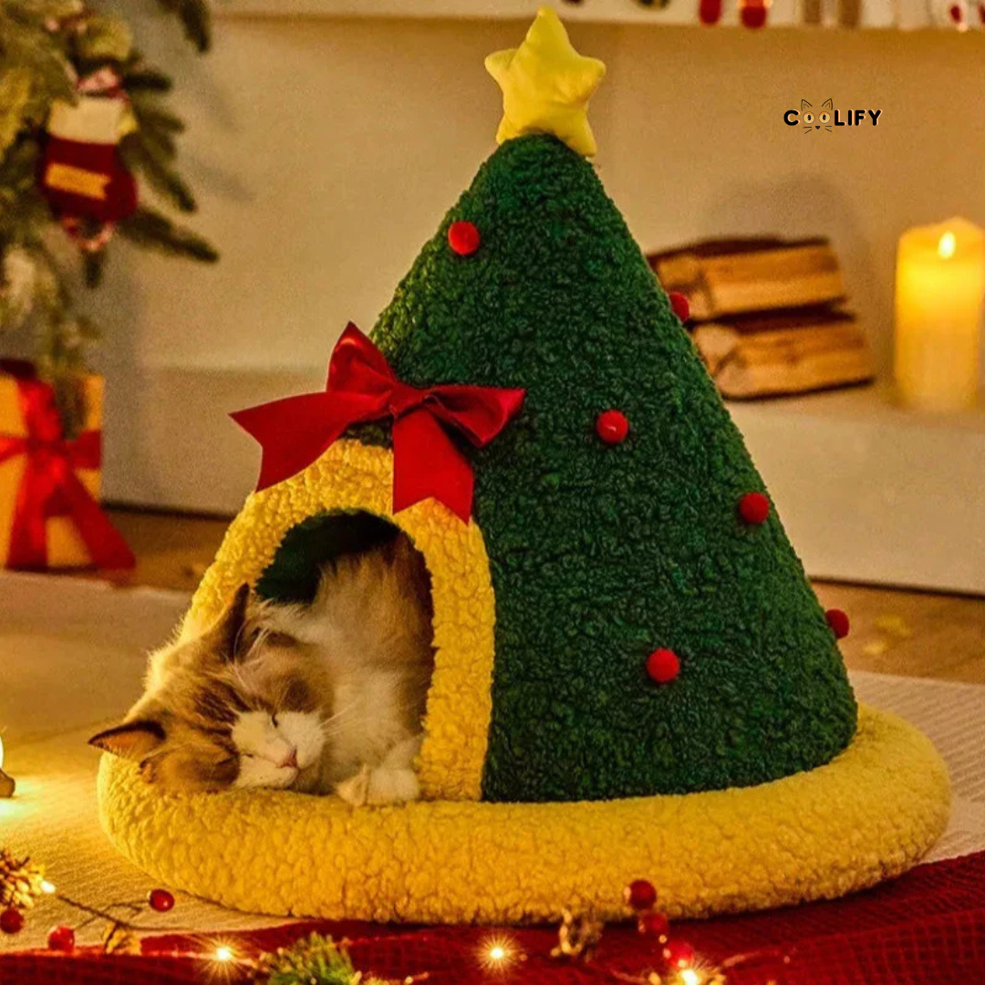 Coolify Christmas Sofá's