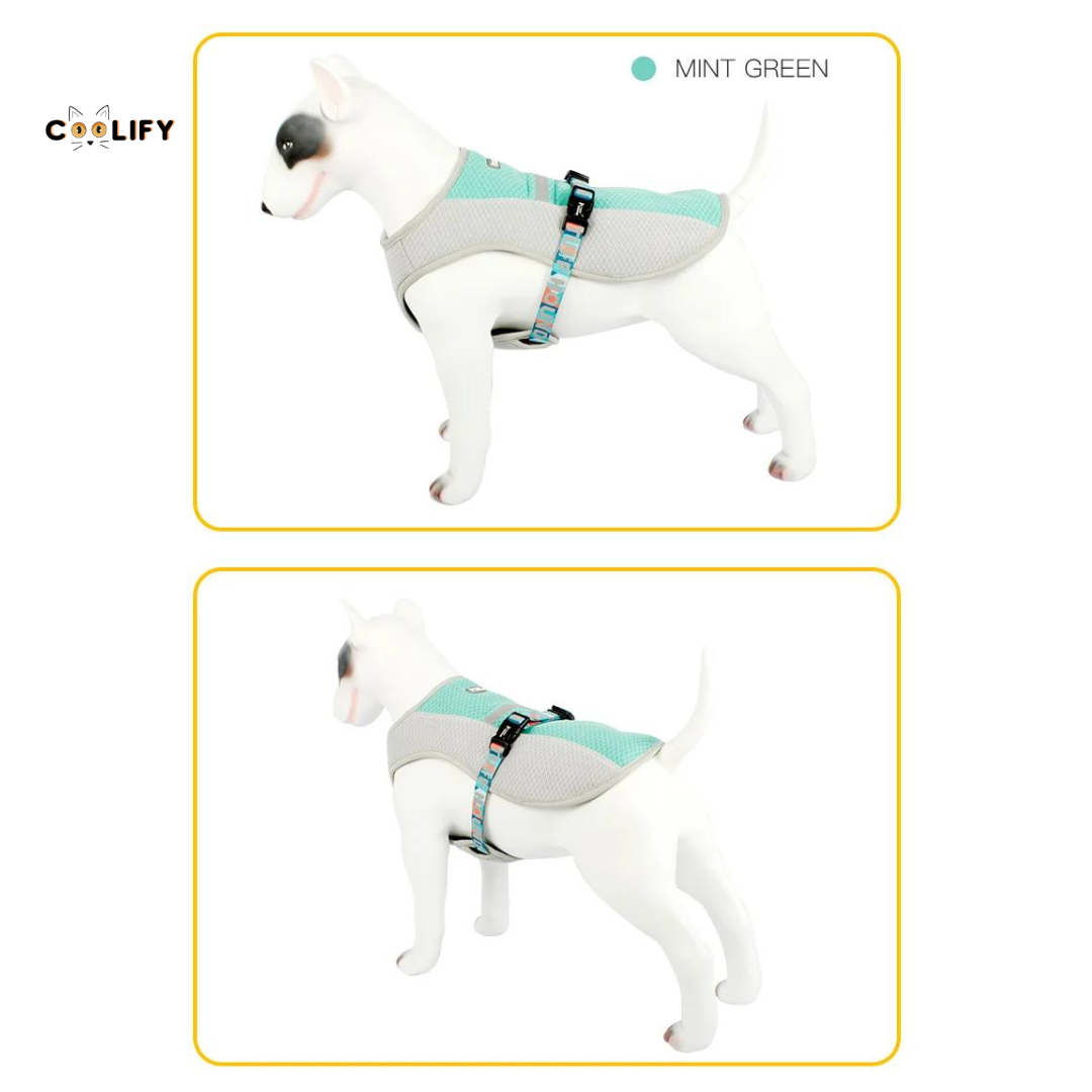 Oasis Pet Soğutucu Yelek