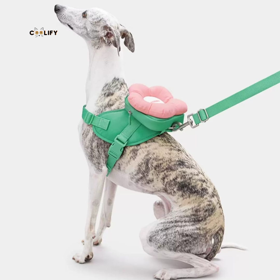 Flora Pet Walk Kit