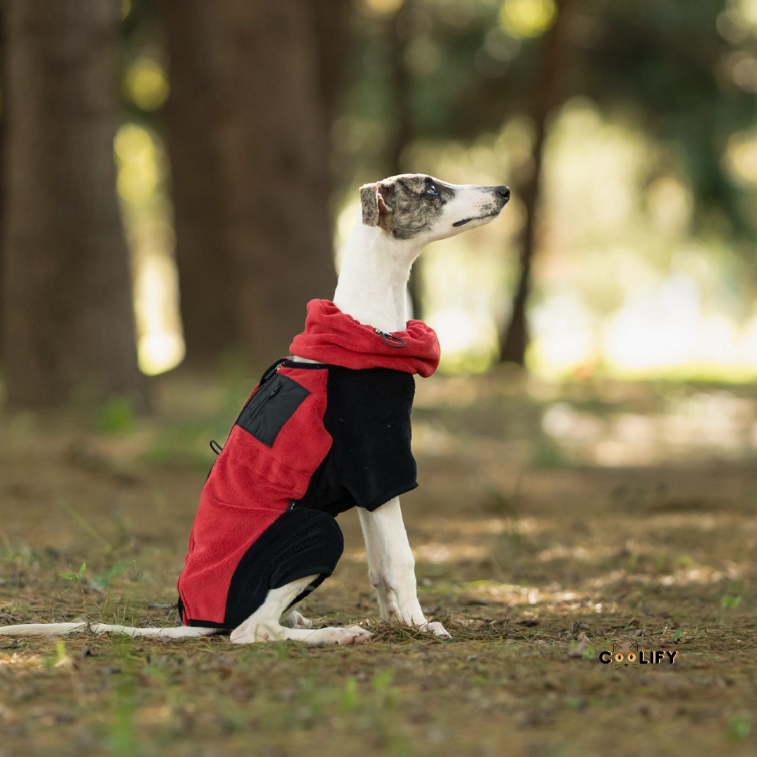 Evergreen Outdoor Polar Ceket